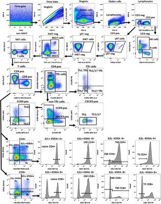 A comprehensive battery of flow cytometric immunoassays for the in vitro testing of chemical effects in human blood cells